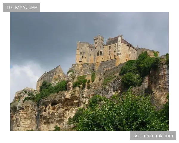 法国警方宣布成功打掉一个位于马赛的跨国足球赌球团伙